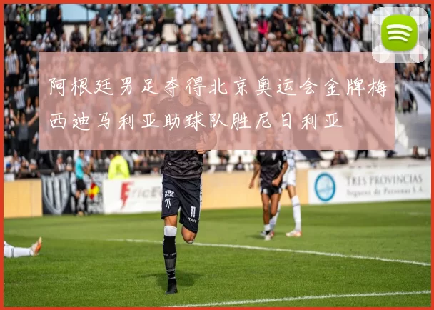 阿根廷男足夺得北京奥运会金牌梅西迪马利亚助球队胜尼日利亚