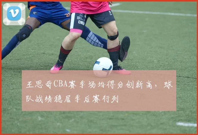 王思奇CBA赛季场均得分创新高，球队战绩稳居季后赛行列