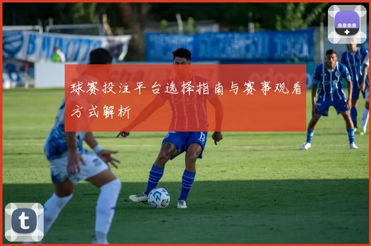 球赛投注平台选择指南与赛事观看方式解析