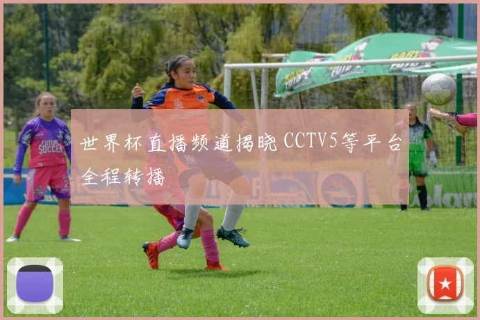 世界杯直播频道揭晓 CCTV5等平台全程转播